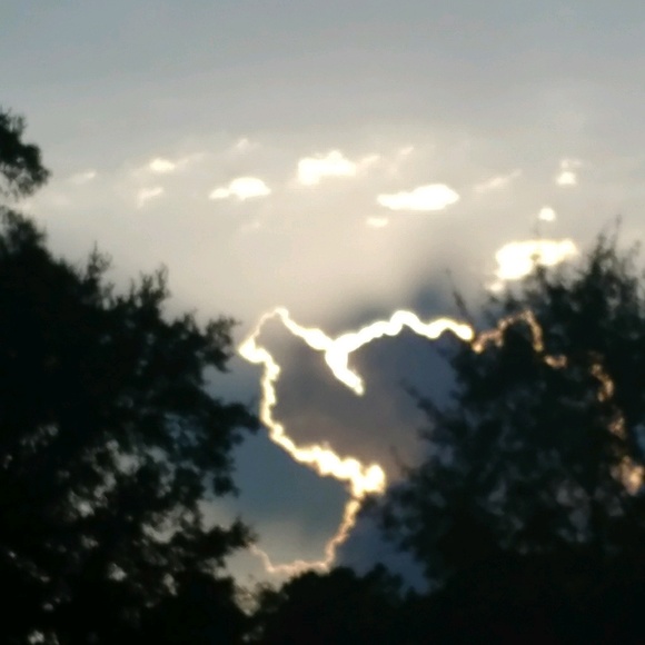 Meet your Posher, Nichole - Picture 1 of 1